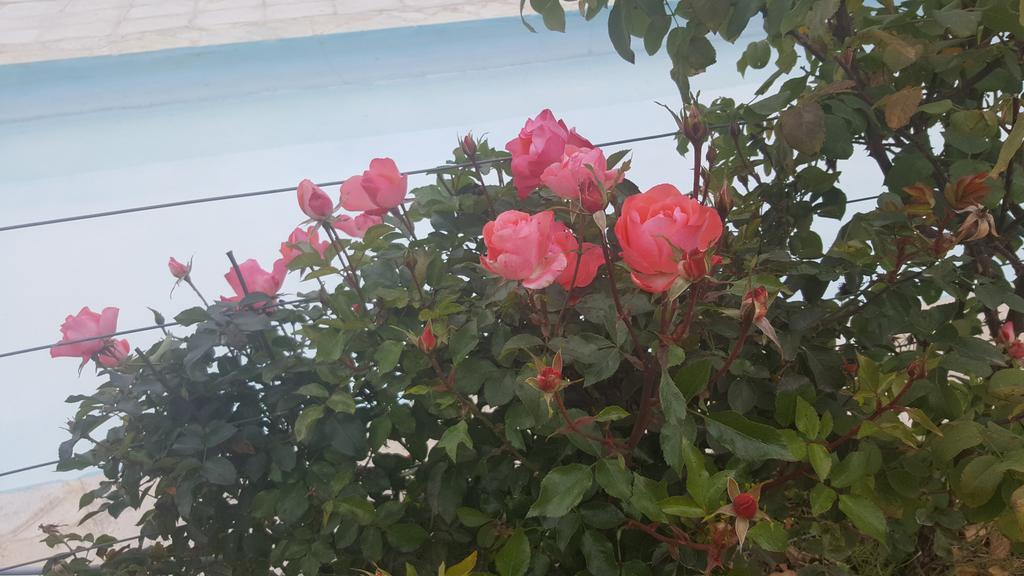 Finca Los Almendros Hotel Tunuyan Bagian luar foto